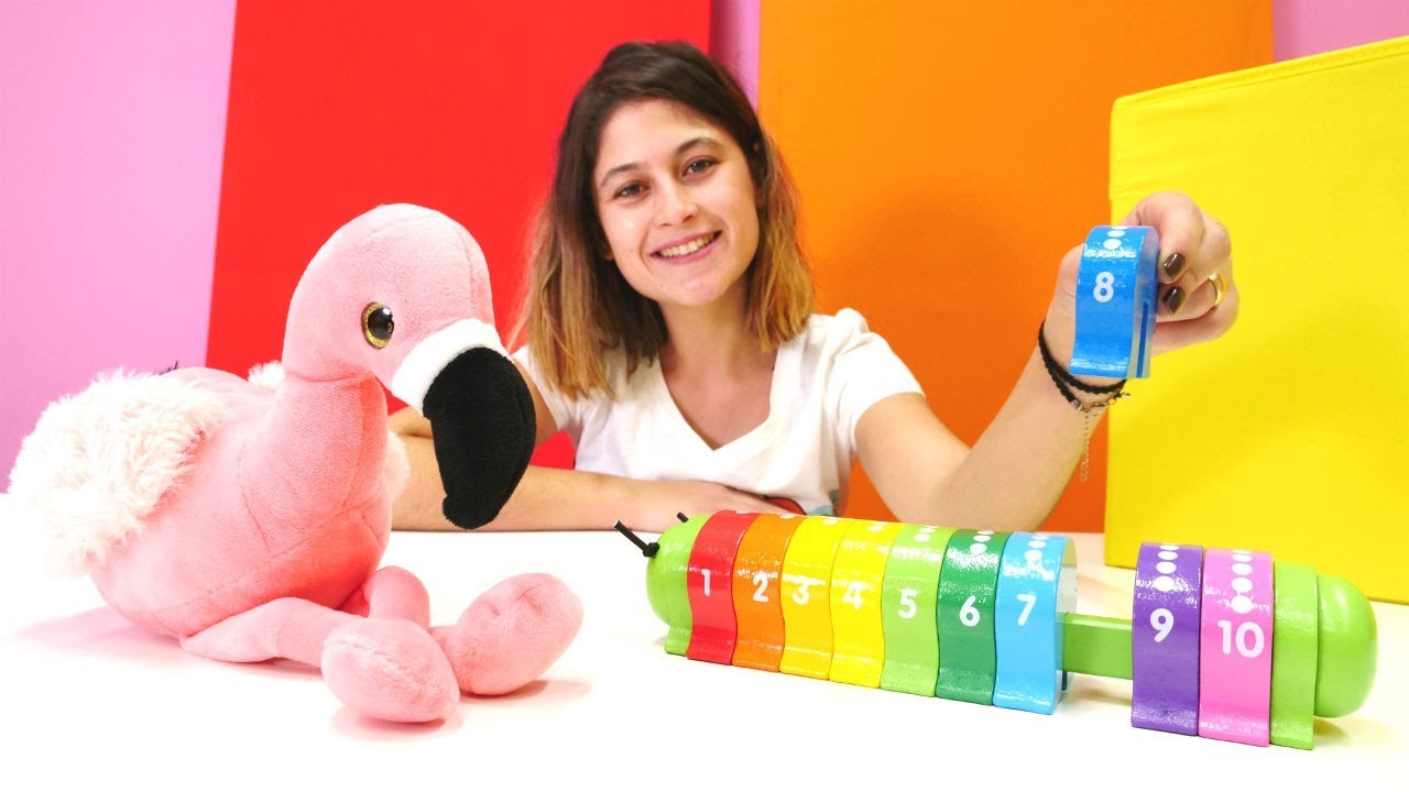 Okul öncesi eğitici video. Flamingo ile saymayı öğreniyoruz