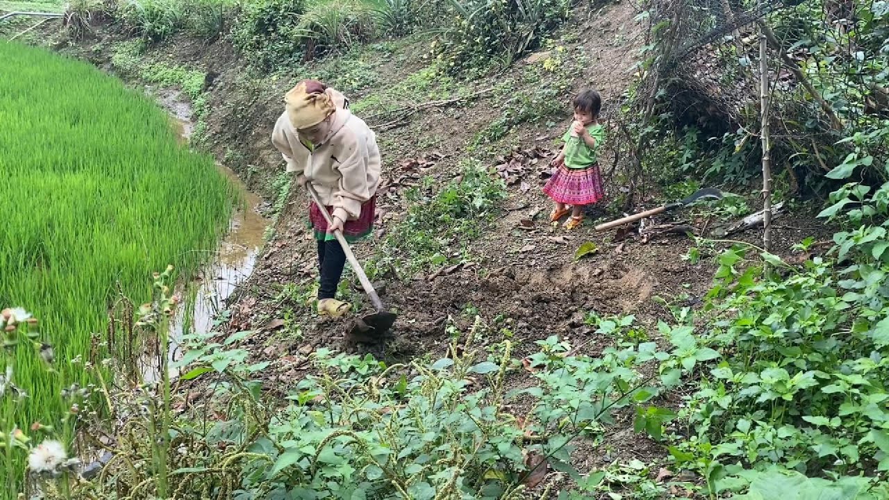 Single Mom Builds a Life from a Small Garden – An Inspiring Journey of Survival