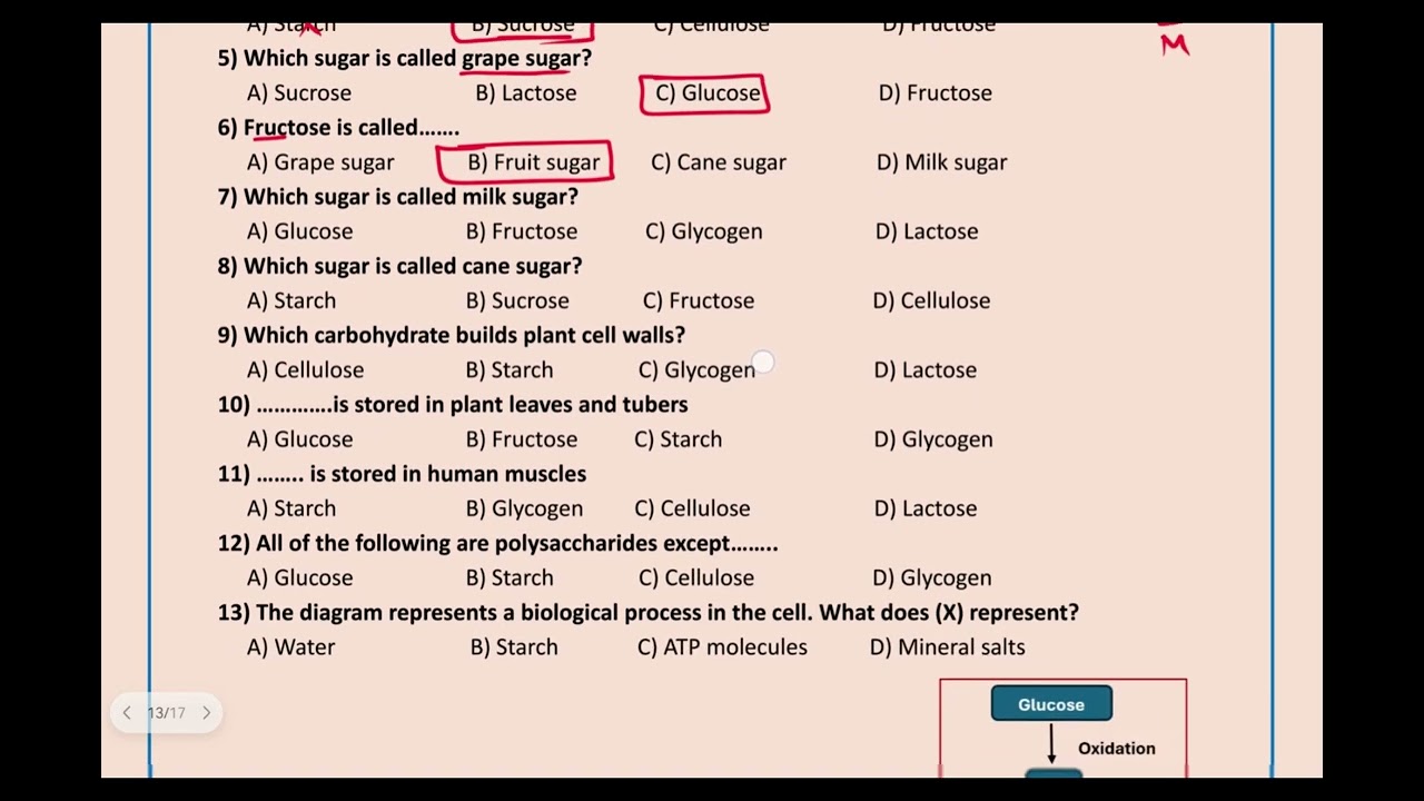 Integrated science: Lesson 1 (Senior 1)