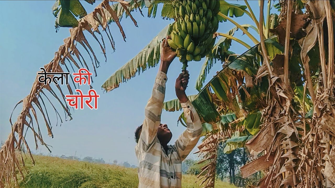 केला चोरी करके पूरी सब्जी बनाई || Shani Rana Vlogs