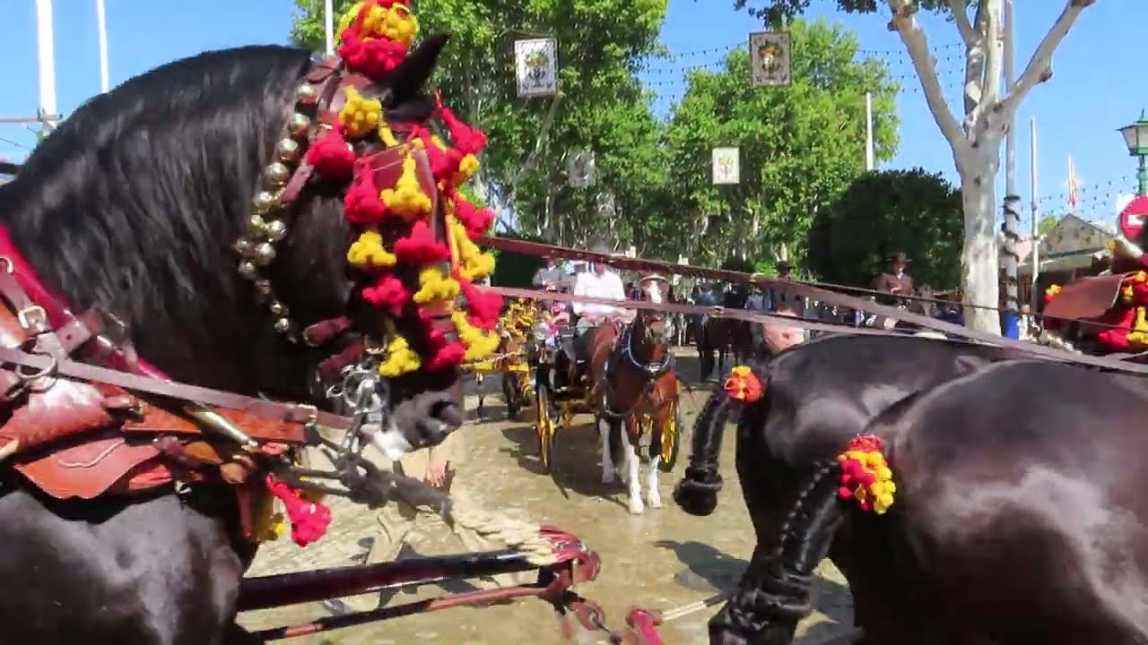 Jueves de Feria de Abril en Sevilla 2022 ,Paseo de Caballos por el Real...(Sonido en vivo).