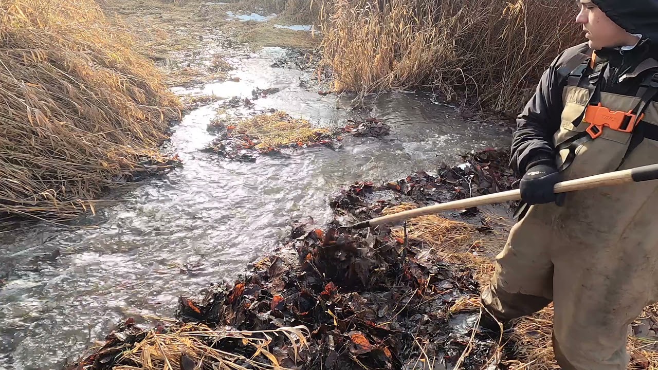 UNCLOGGING DITCH FROM LEAF BUILD-UP! Satisfying Clean-Up!