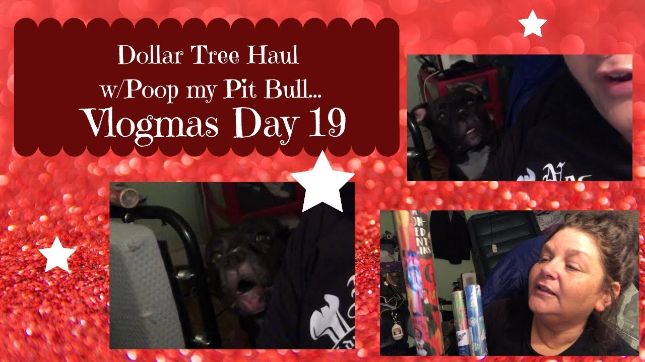 Dollar Tree Haul w/Poop my Pitbull | Vlogmas Day 19
