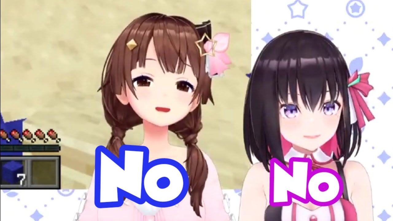 When Two Pon is better than one [TokinoSora/Azki]