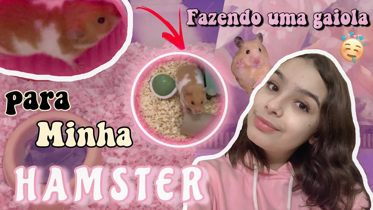 FAZENDO UMA GAIOLA PARA MINHA HAMSTER 🐹💓✨