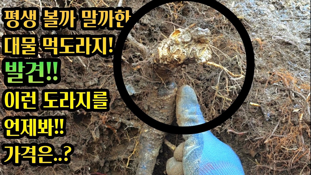 “처음이자 마지막!