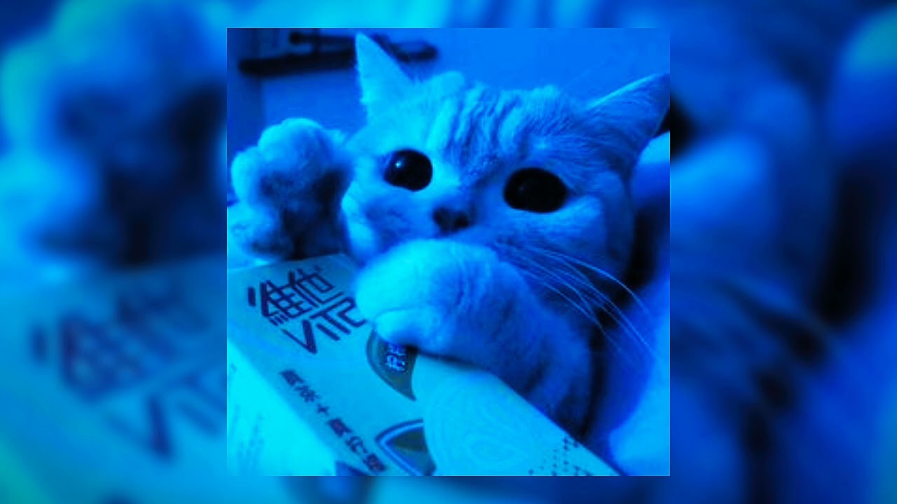 {🎉☆° ` 2012 !! - WILL WOOD - SPED UP :33 ! `°☆🔮}