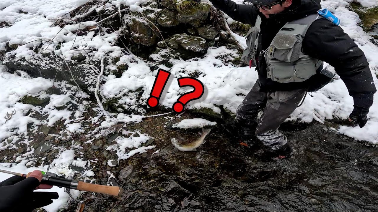 極寒の源流でバケモンじみたイワナが出た！！