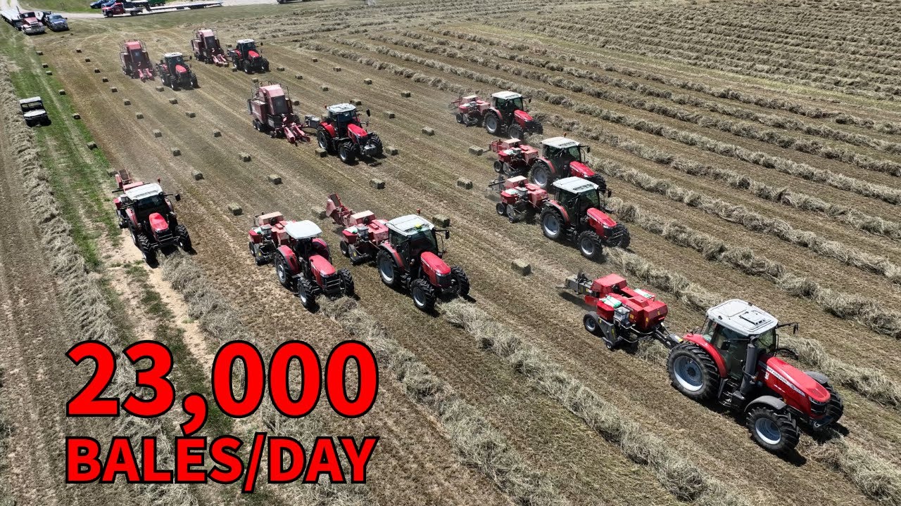 23,000 Bales in a SINGLE Day (And Dried?)