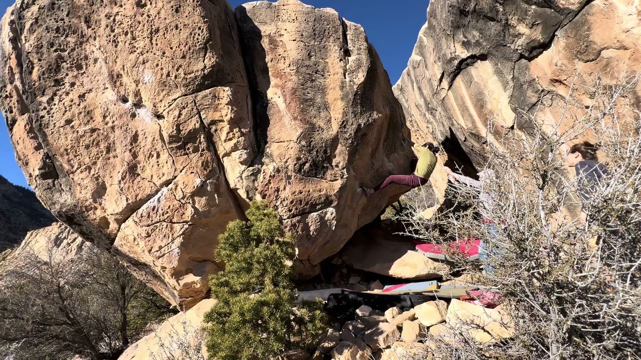 The Dude | New Joes, UT (Yelena Wu)