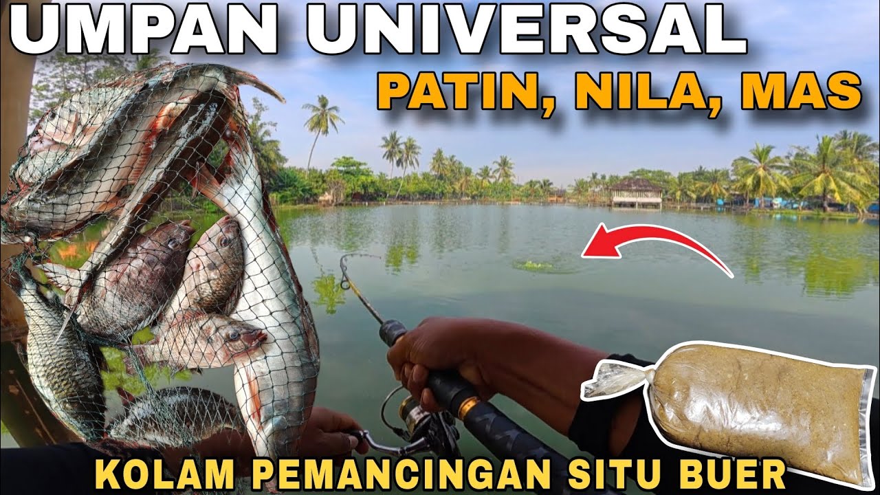 UMPAN UNIVERSAL SPESIALIS KOLAM CAMPUR ...‼️  PATIN, NILA, MAS & BAWAL