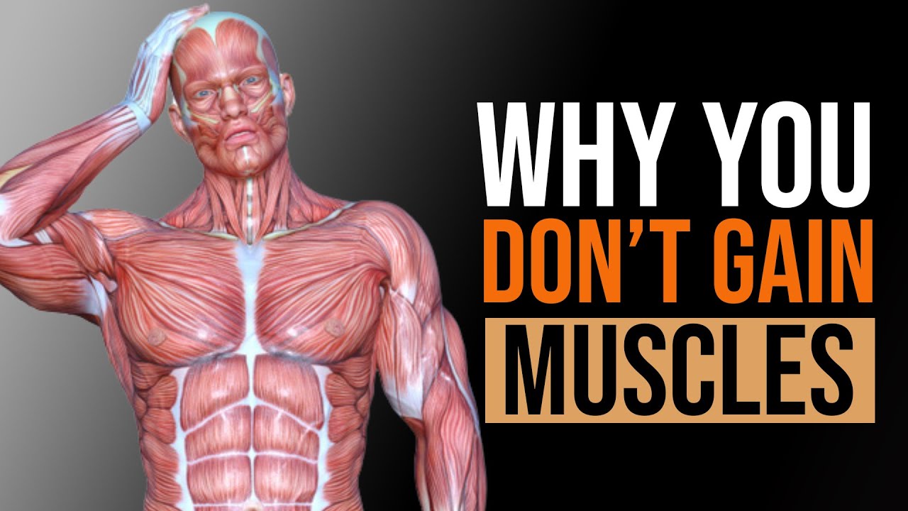 10 Reasons Why You Don&rsquo;t Gain Muscle