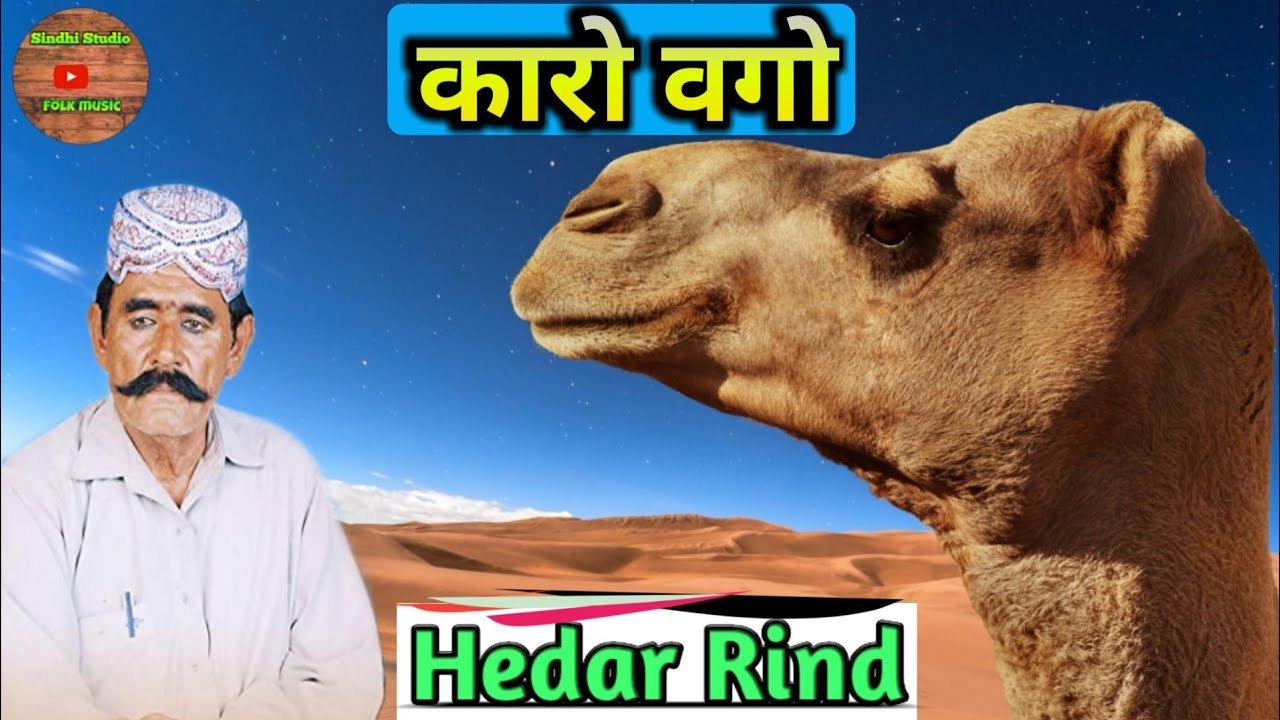 Karo vago karo vago | hedar rind | कारो वगो कारो वगो | हैदर रिंद | sindhi folk song | सिंधी गीत |