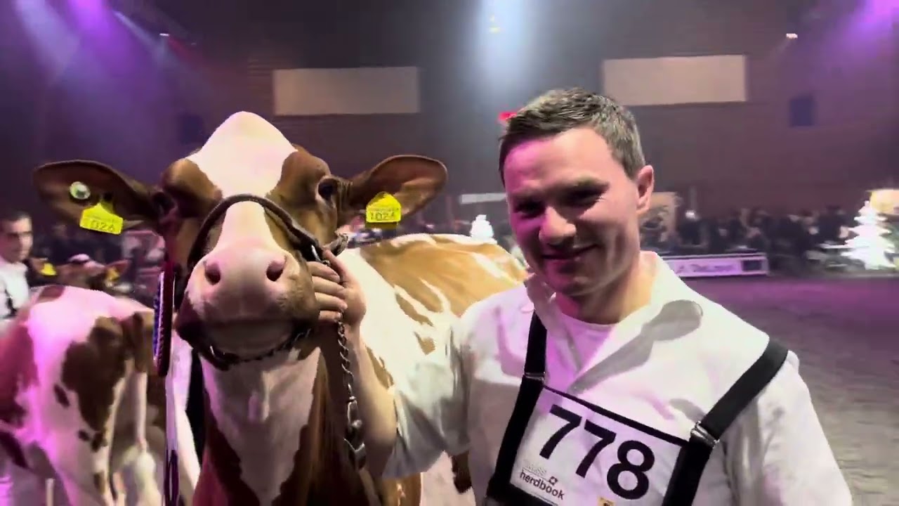 Champion Red Holstein Rinder Junior Bulle Expo 2023