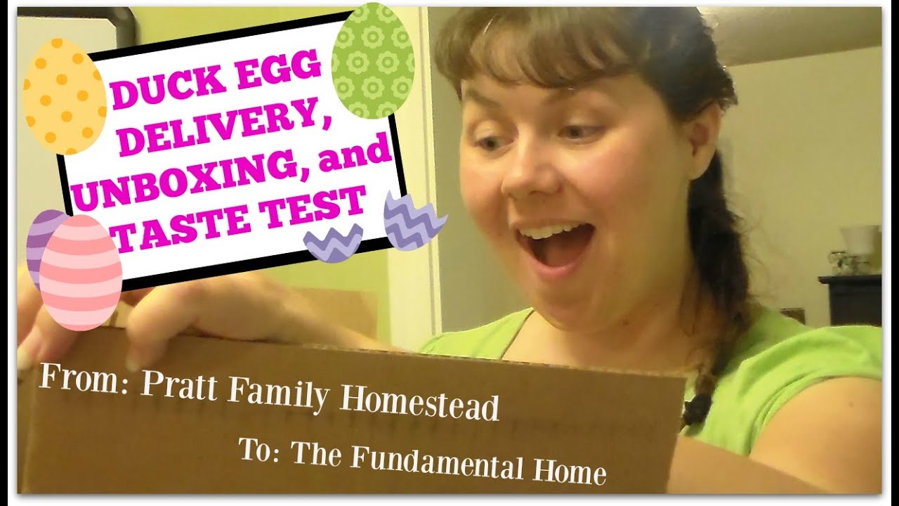 Duck Egg Delivery, Unboxing, and Taste Test with Pratt Family Homestead
