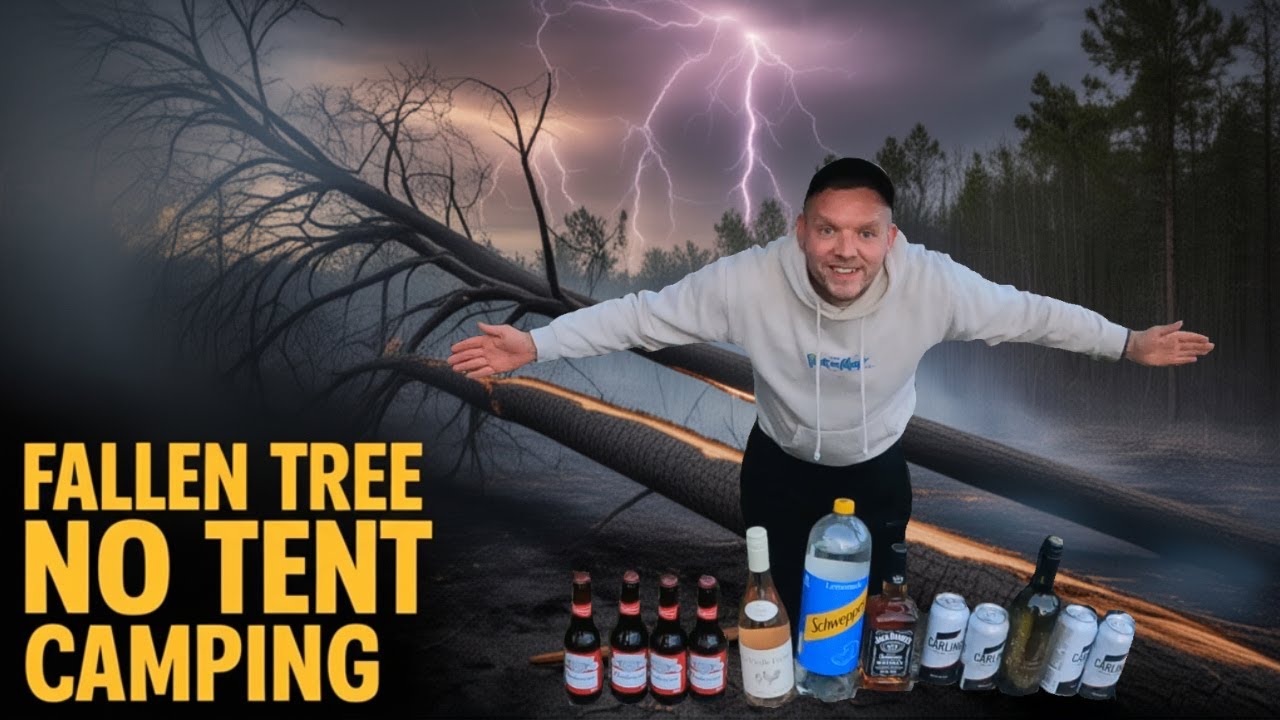 Stealth Camping In A Fallen Down Tree