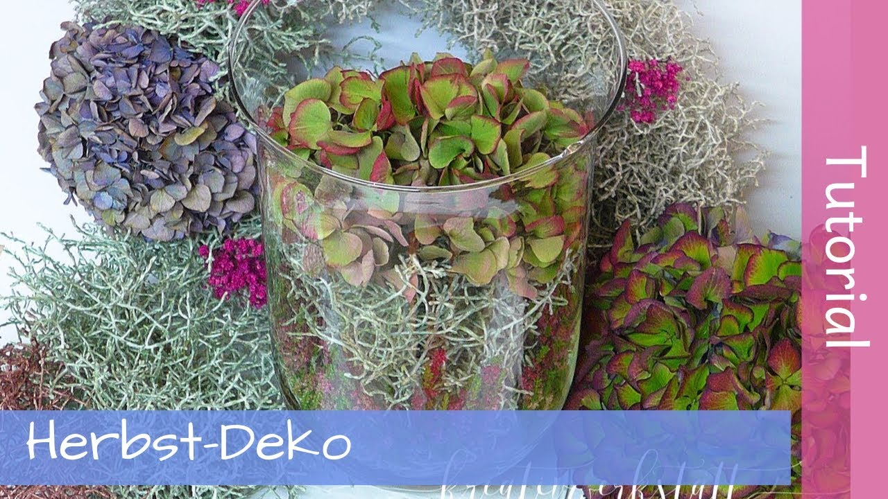 Herbstdeko mit Stacheldrahtpflanzen und Hortensien - Tutorial - Anleitung - YouTube