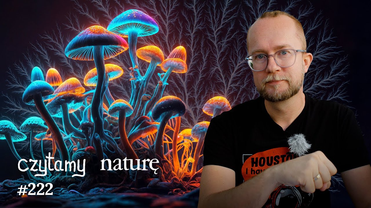 Psylocybina i sieci neuronalne - Dron wiecznie latający - Bluszcz Lichtenberga | Czytamy naturę 
