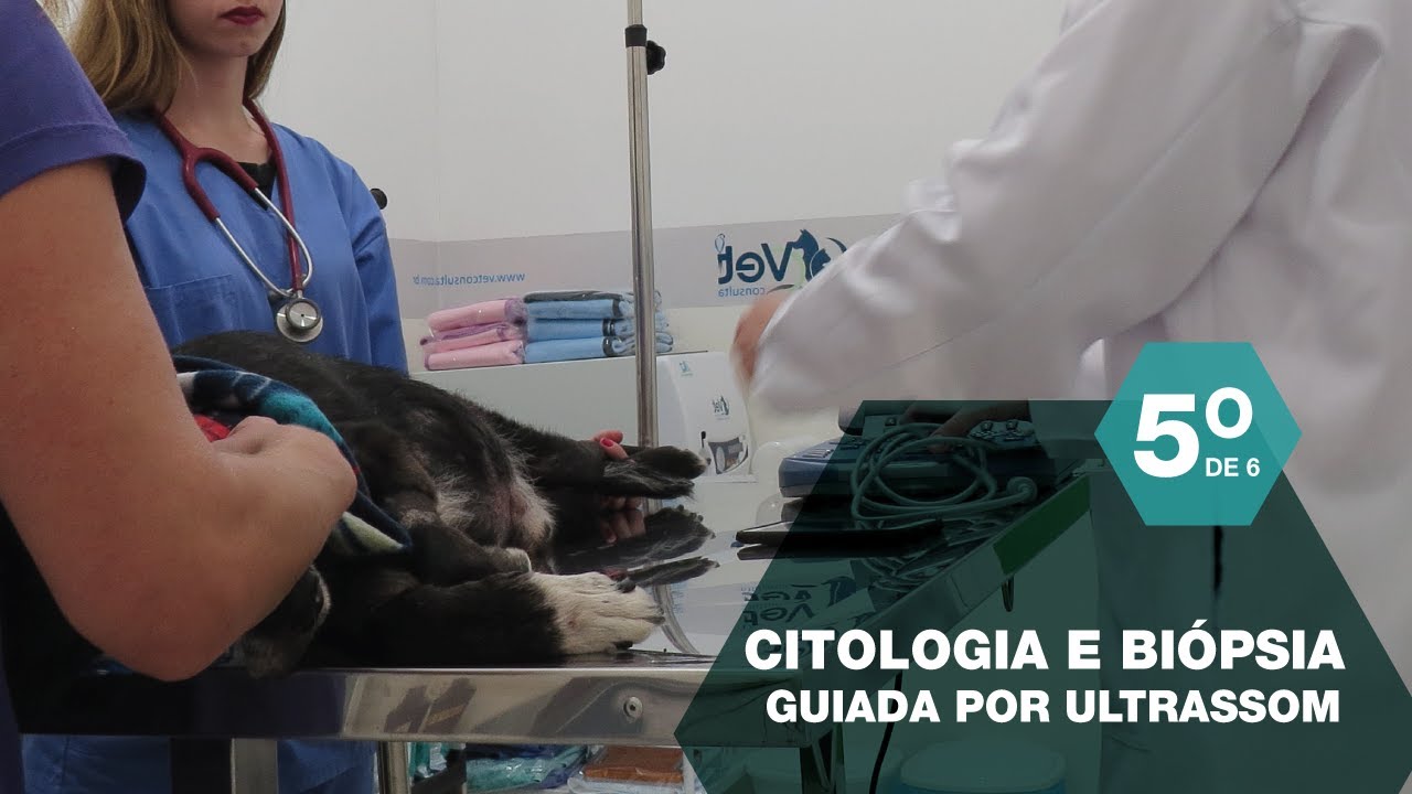 Biópsia e citologia guiada por ultrassom - procedimento minimamente invasivo
