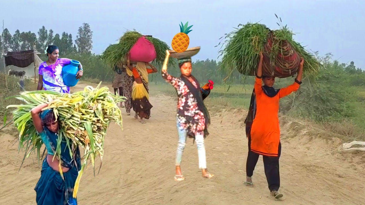 Won't Believe# This Is Everyday #dailyLife In India🇮🇳[ Wow! Is This #Really India ] #IndianLifestyle
