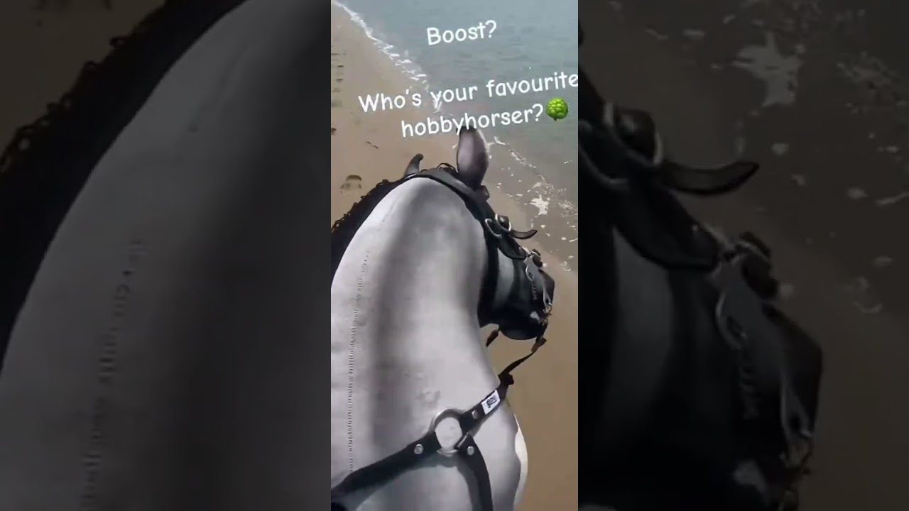 Hobby horse go pro tik toks Part 1