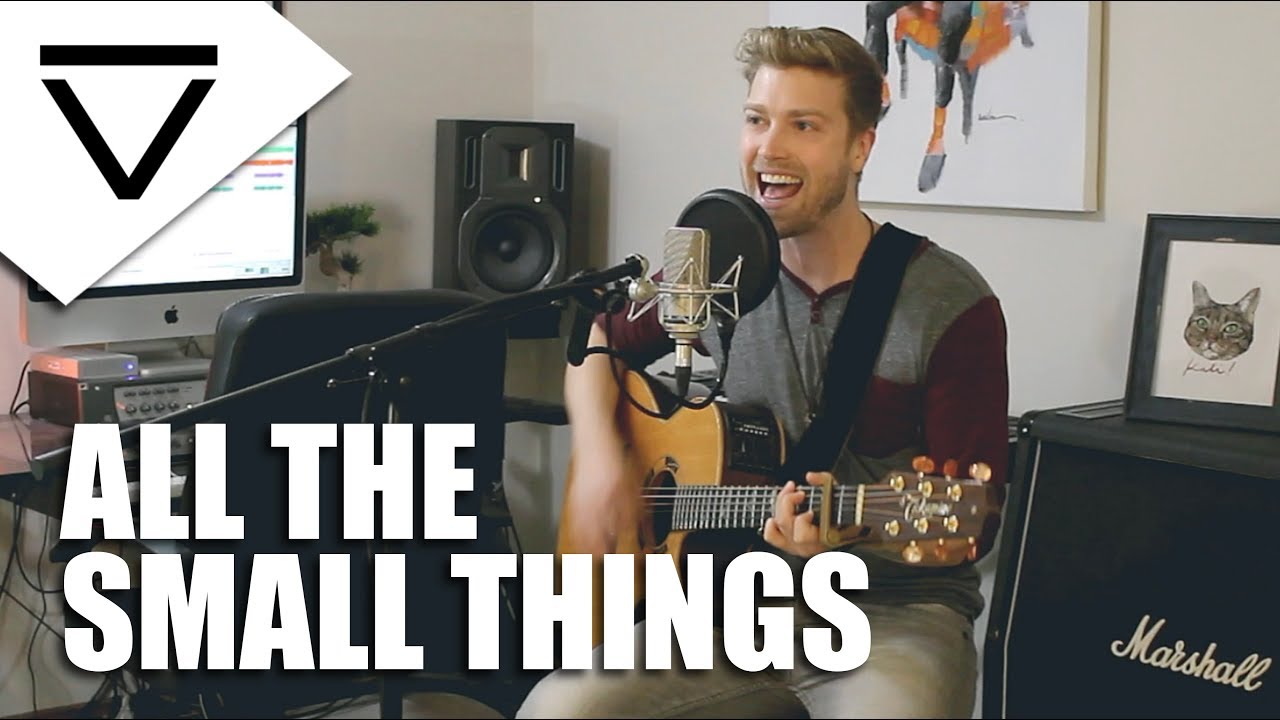 All The Small Things - Blink-182 (Acoustic Cover)