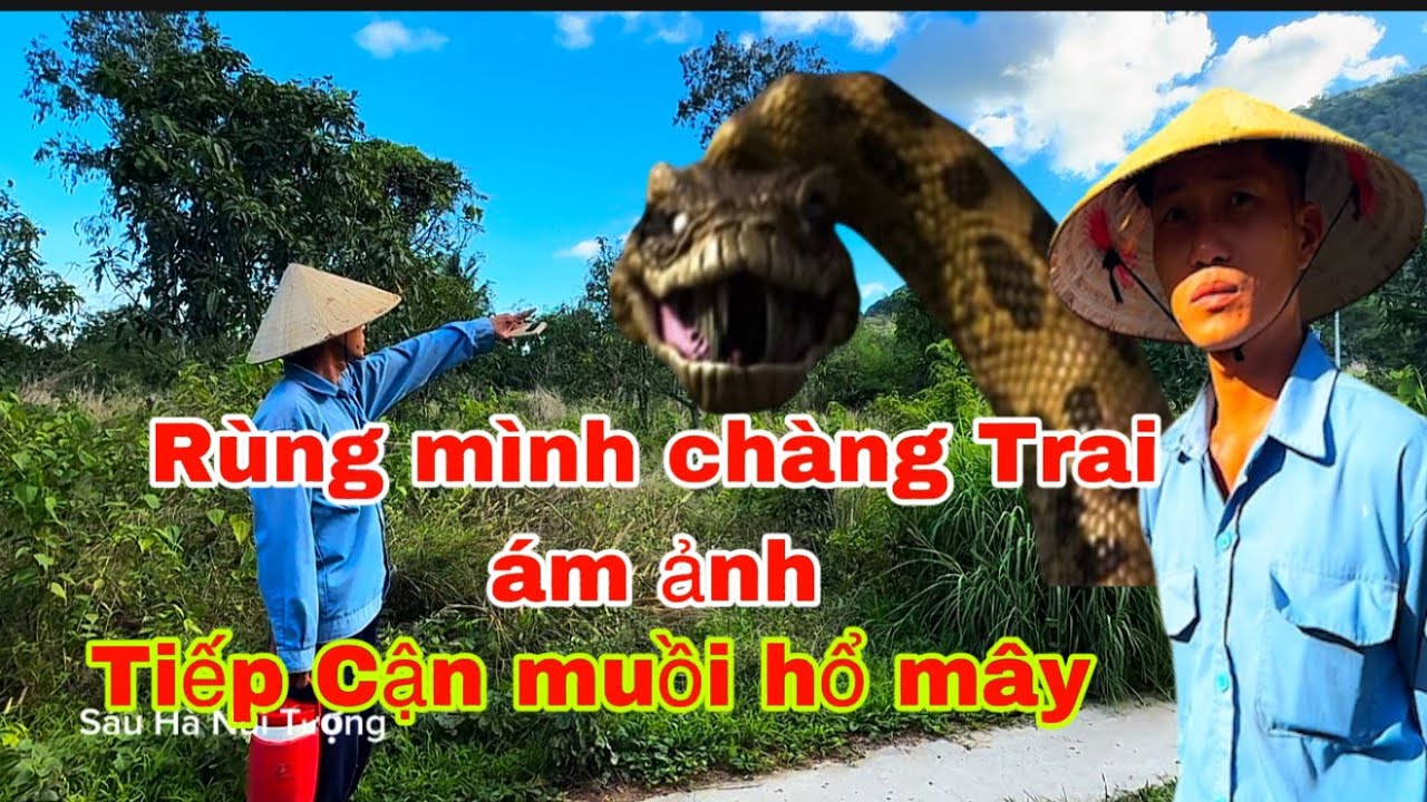 Chấn Động Chàng Trai Núi Cắm  Gặp  Rắn To Khủng Ở Trong Hang
