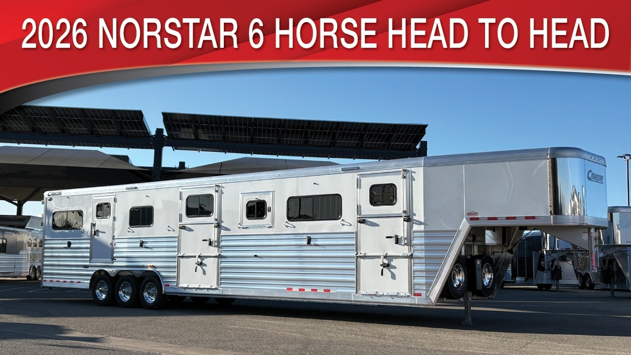 2026 Cimarron Norstar 6 Horse Head to Head
