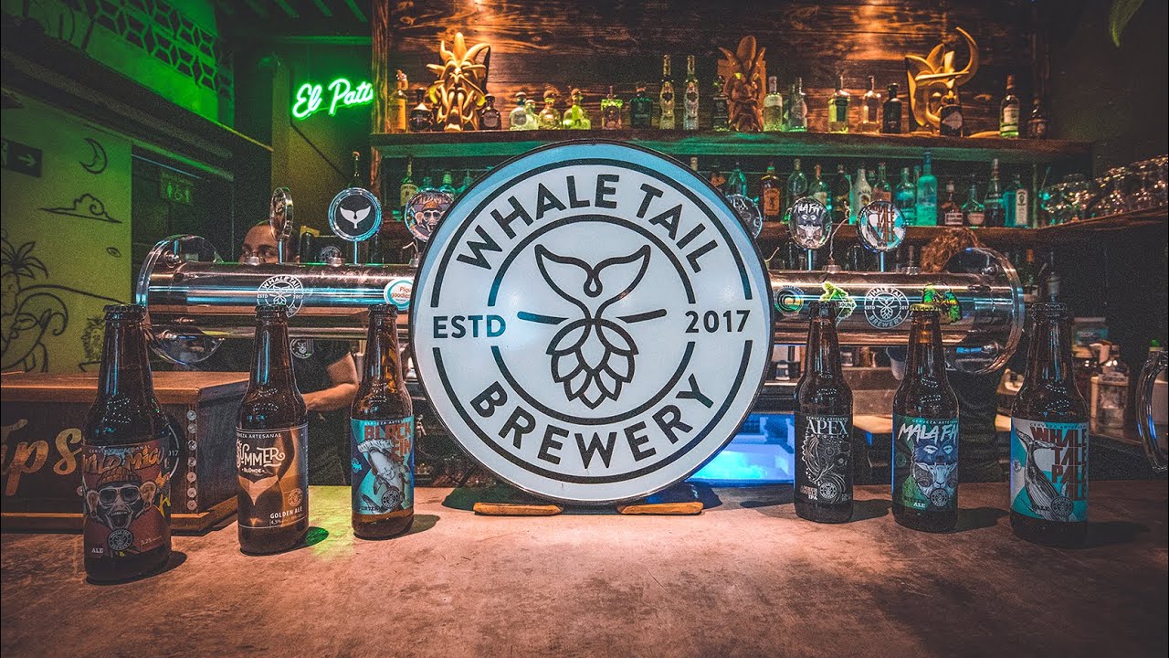 Whale Tail Brewery - AMAZING Craft Beer In Uvita, Costa Rica!  🇨🇷