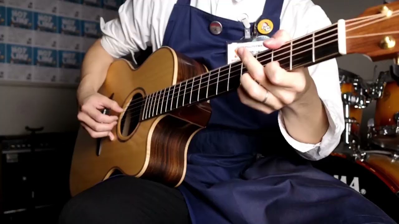 Avalon Guitars A2-20c  Demo Play!