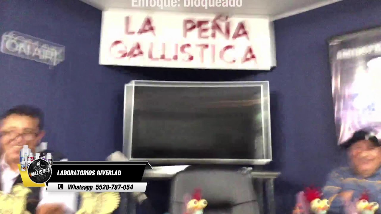 PROGRAMA 783 -  LA PEÑA GALLISTICA : GREY VALLEY FARM