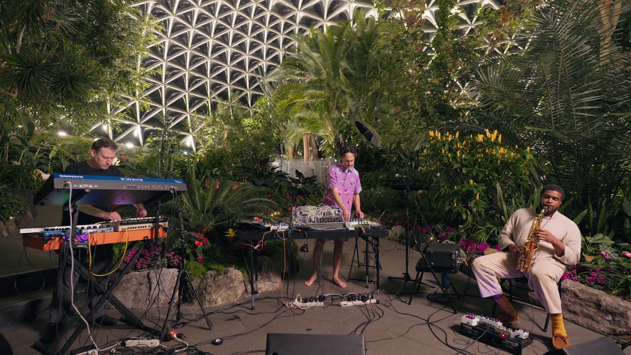 Modern Biology - Photosynthesis LIVE at the Bloedel Conservatory