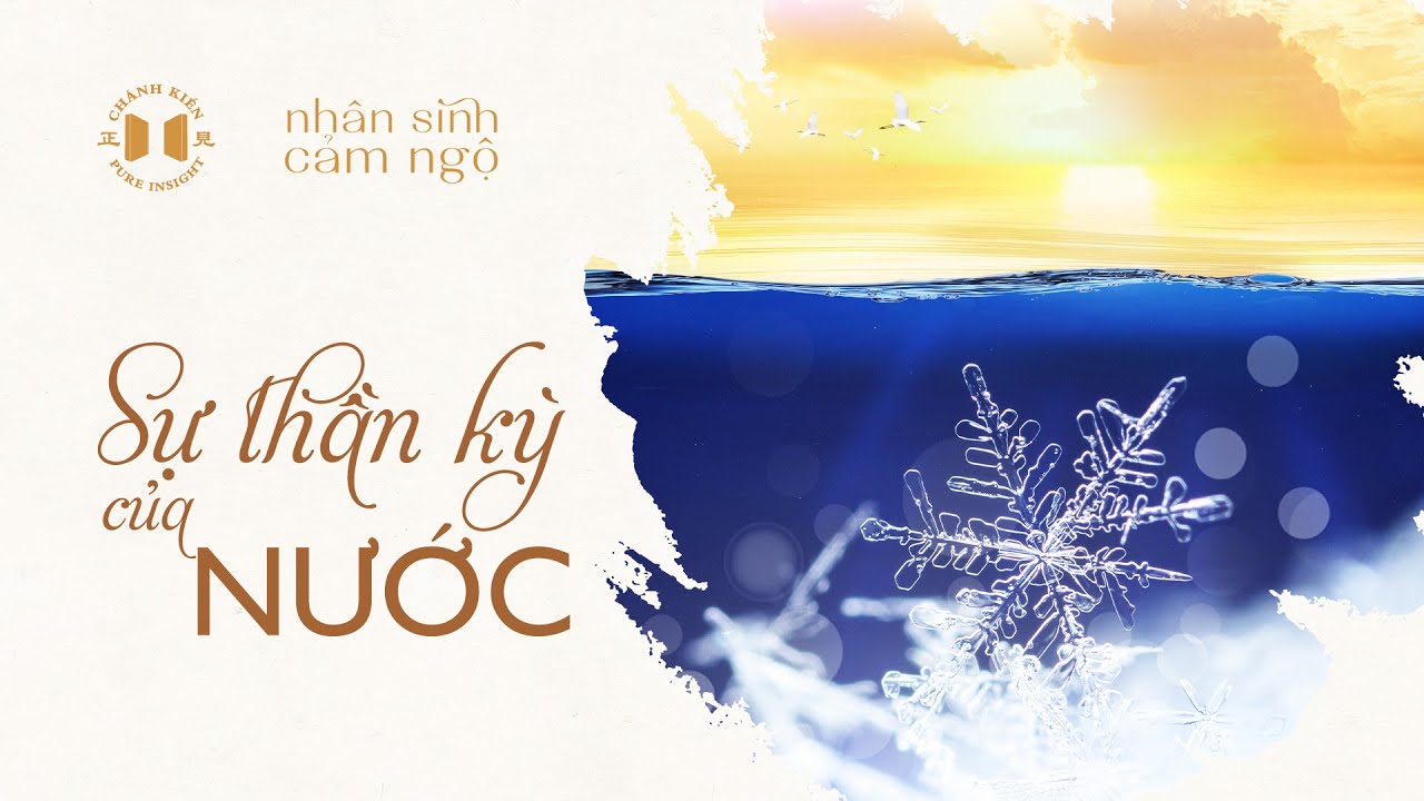 Sự thần kỳ của nước | Nhân sinh cảm ngộ
