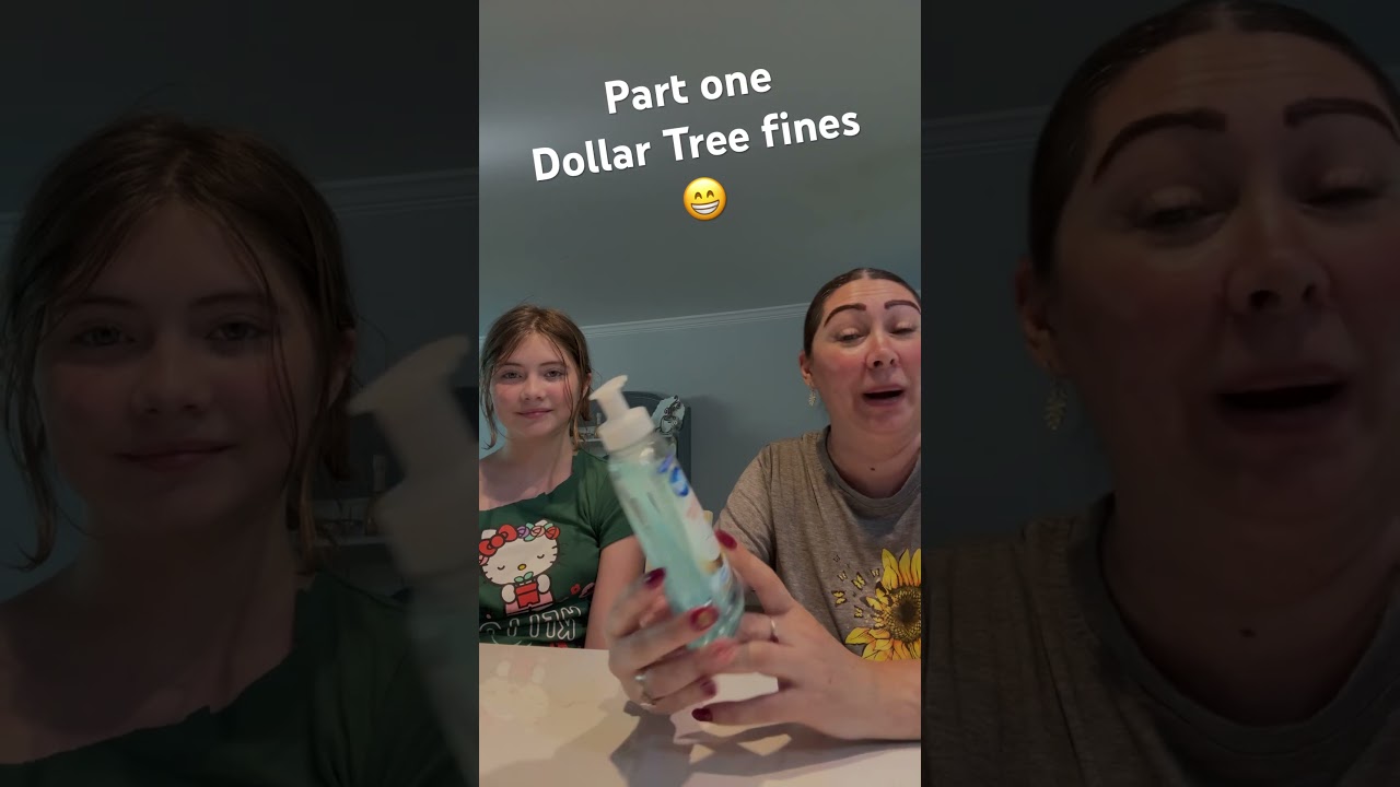 Part one Dollar Tree fines 