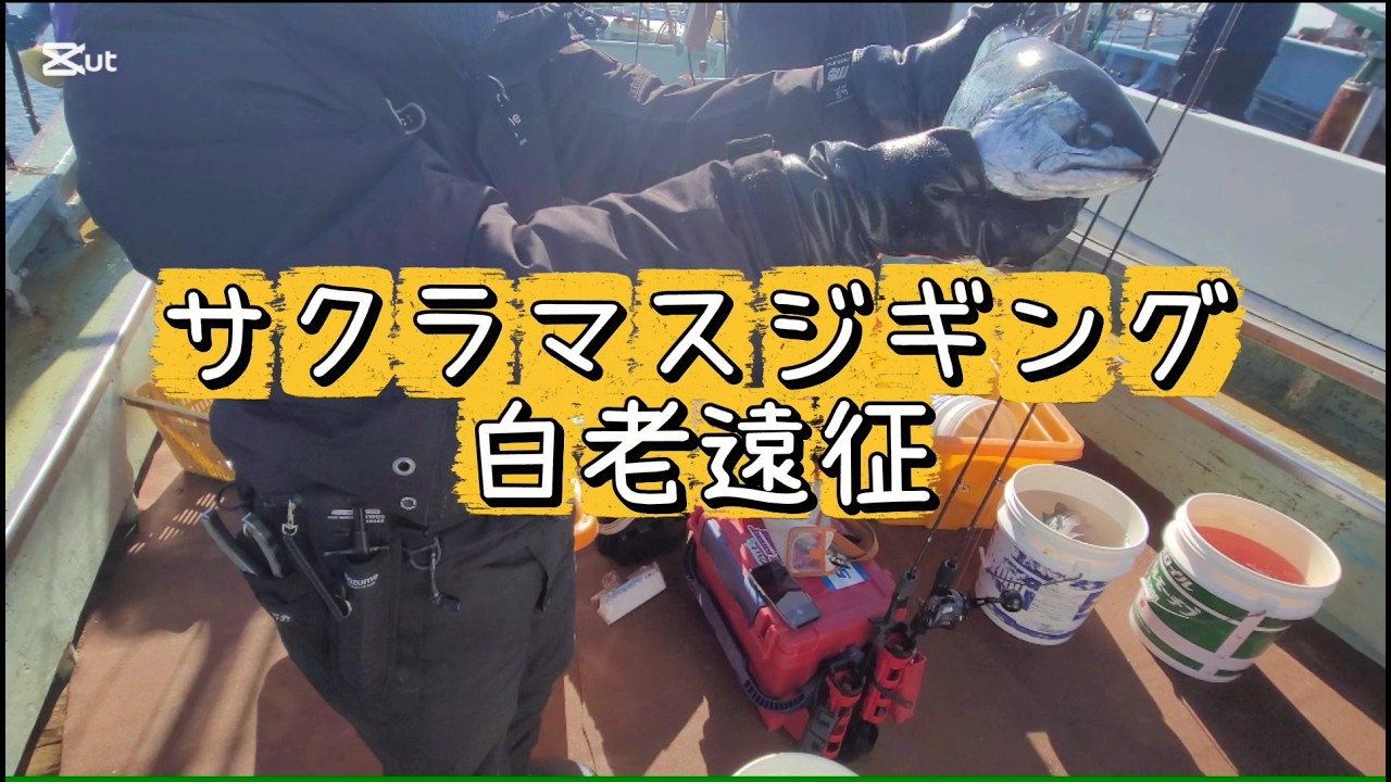白老サクラマス遠征