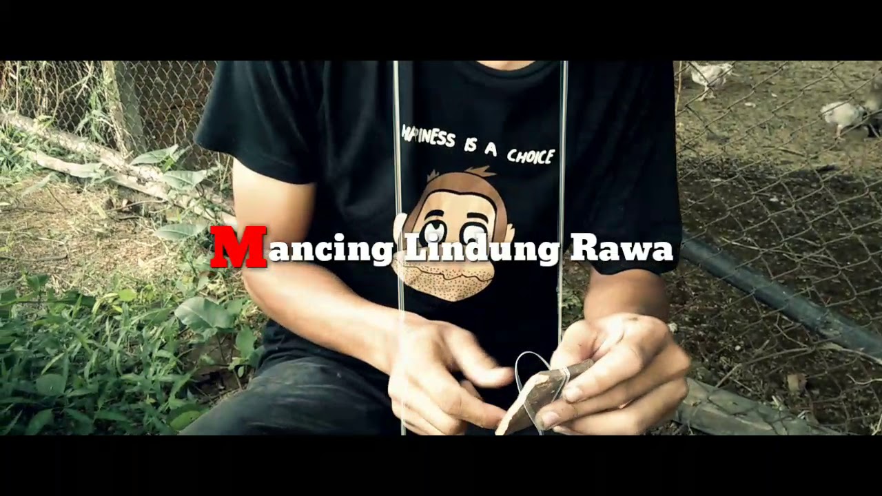 Mancing belut listrik 200volt