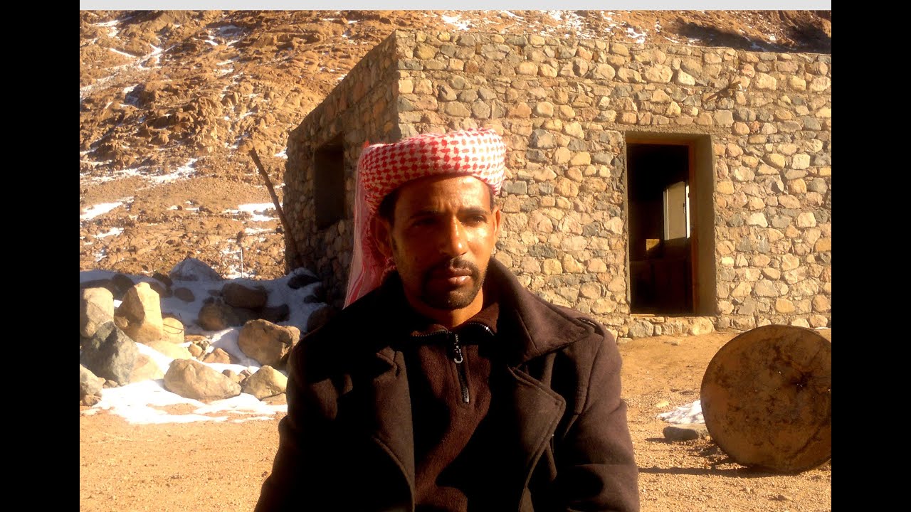 طبيب كاترين الشاب - أحمد صالح