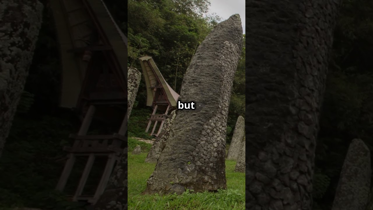 Unveiling Tana Toraja: Indonesia's Hidden Gem!  #exploreindonesia #travel  #discoverindonesia