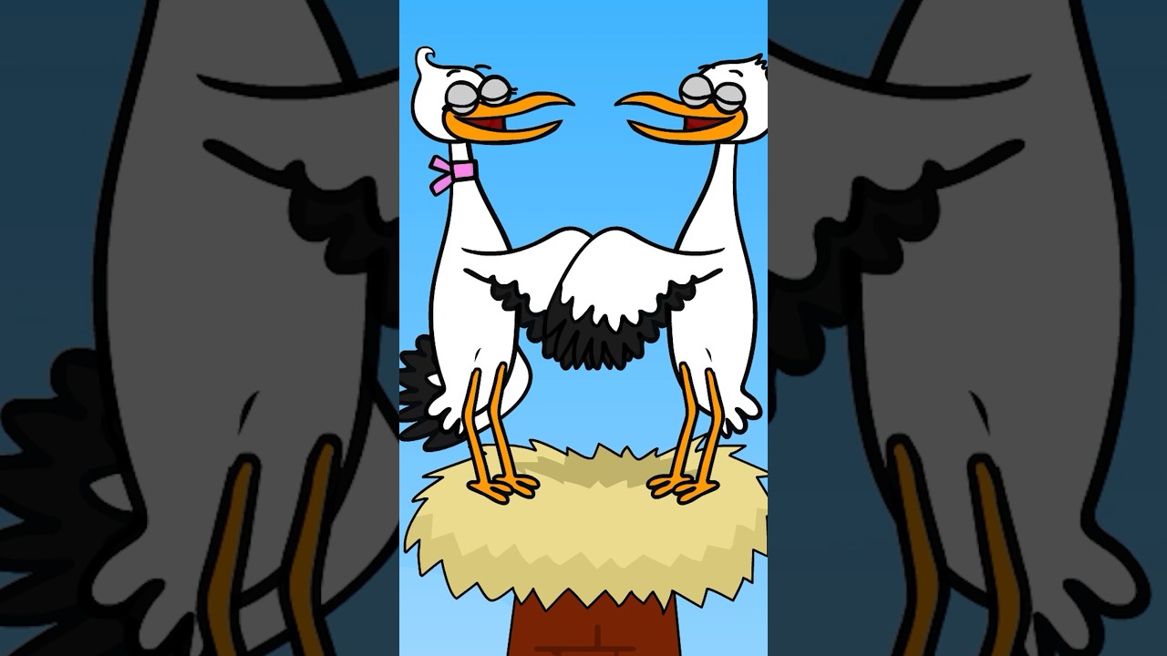 Even Storks Need to be Careful &ndash; Hooray Kids Songs #shorts #nurseryrhymes #kids #funnyvideo