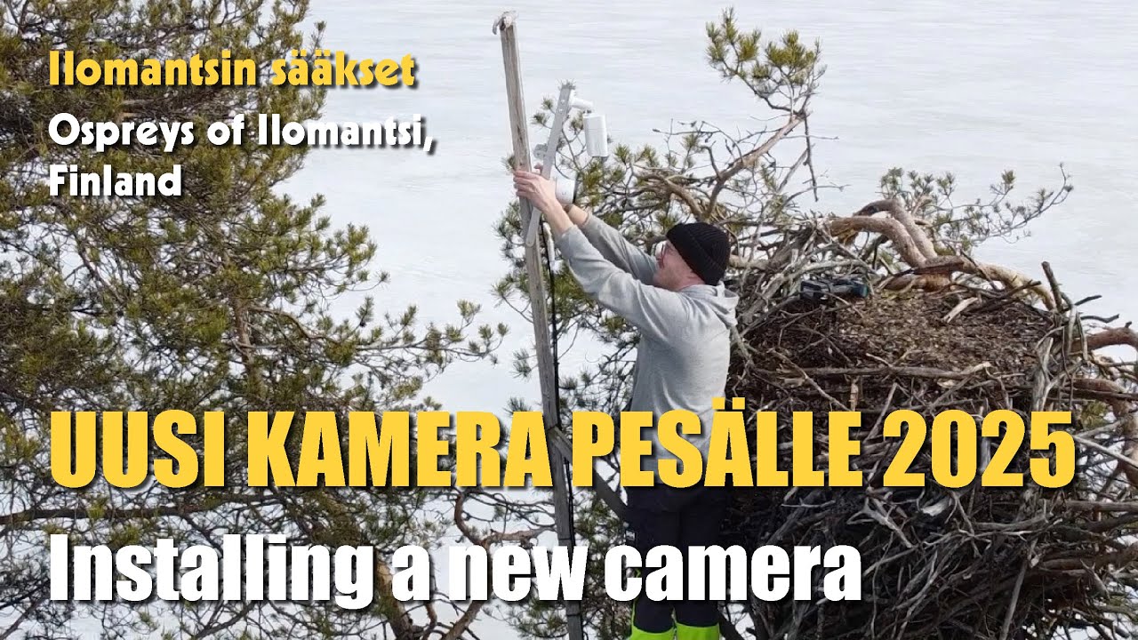 Uusi kamera pesälle / Installing a new camera (2025)