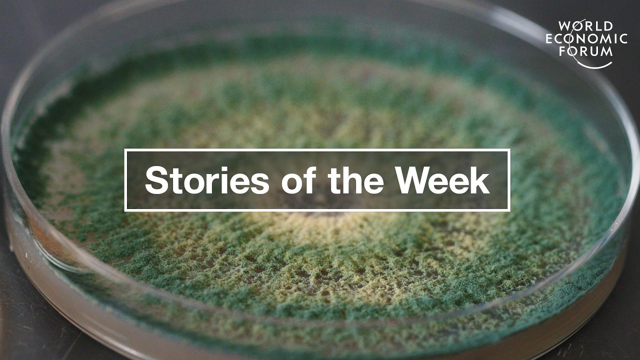 India's Growth Strategy & How AI Could Transform Work by 2030 | WEF | Top Stories of the Week