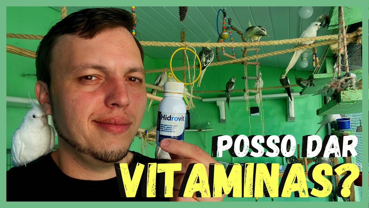 COMO DAR VITAMINAS PARA CALOPSITAS?