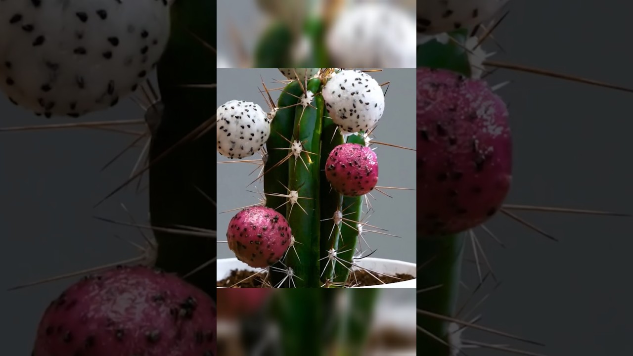 Dragon Fruit + Strawberry = Magic Growth Hack! 🍓🐉 