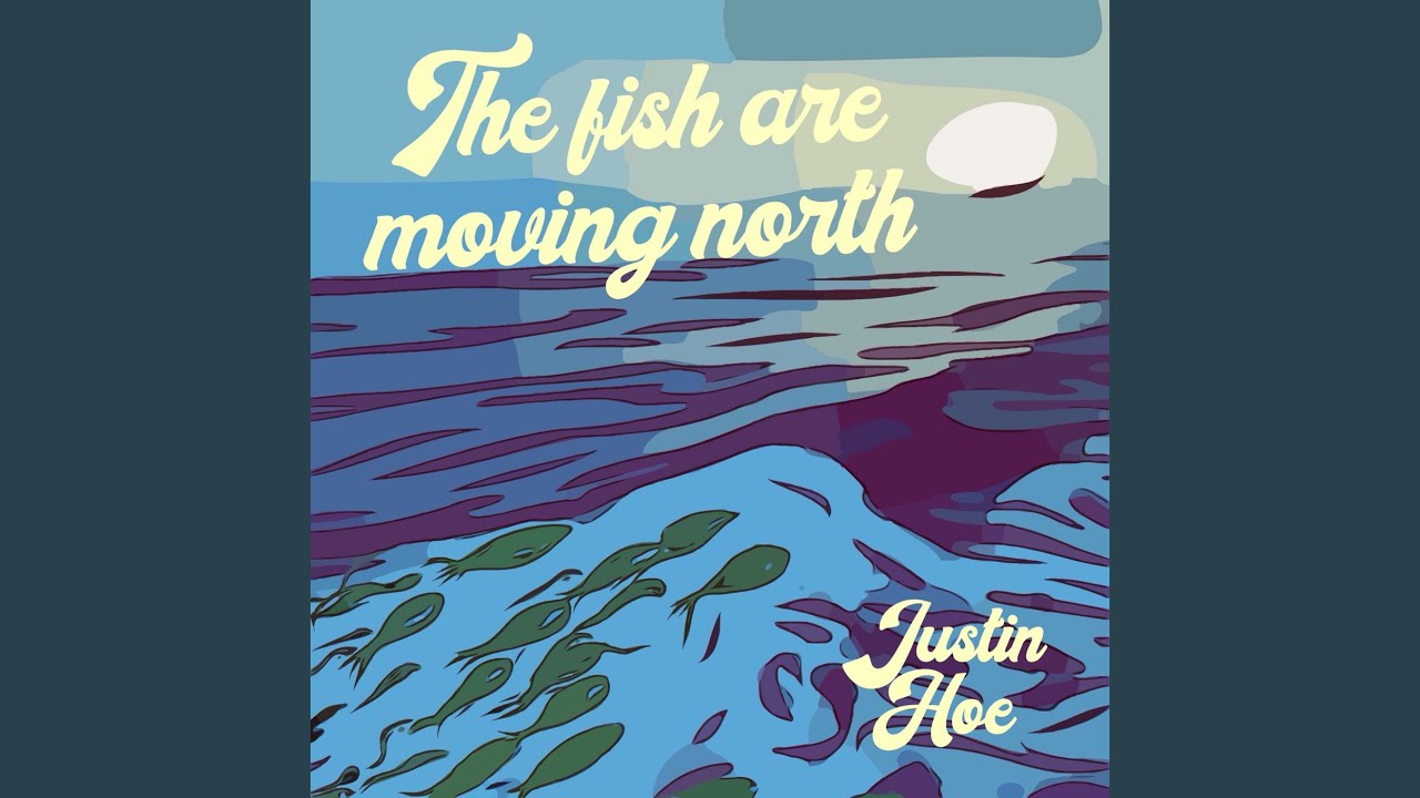 The fish are moving north