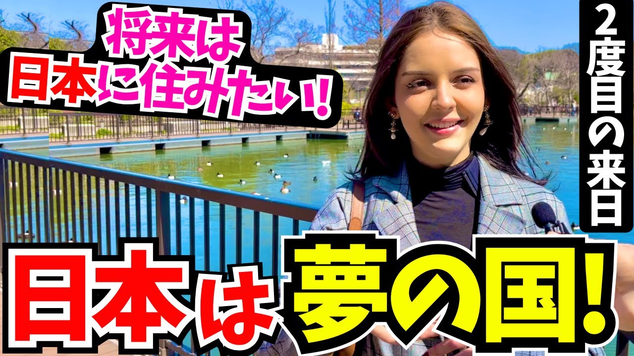 「夢が叶って幸せ！将来は日本に住みたい!」2度目の来日に感動する外国人に日本の印象や素敵な体験を聞いてみた!!【外国人にインタビュー】【海外の反応】