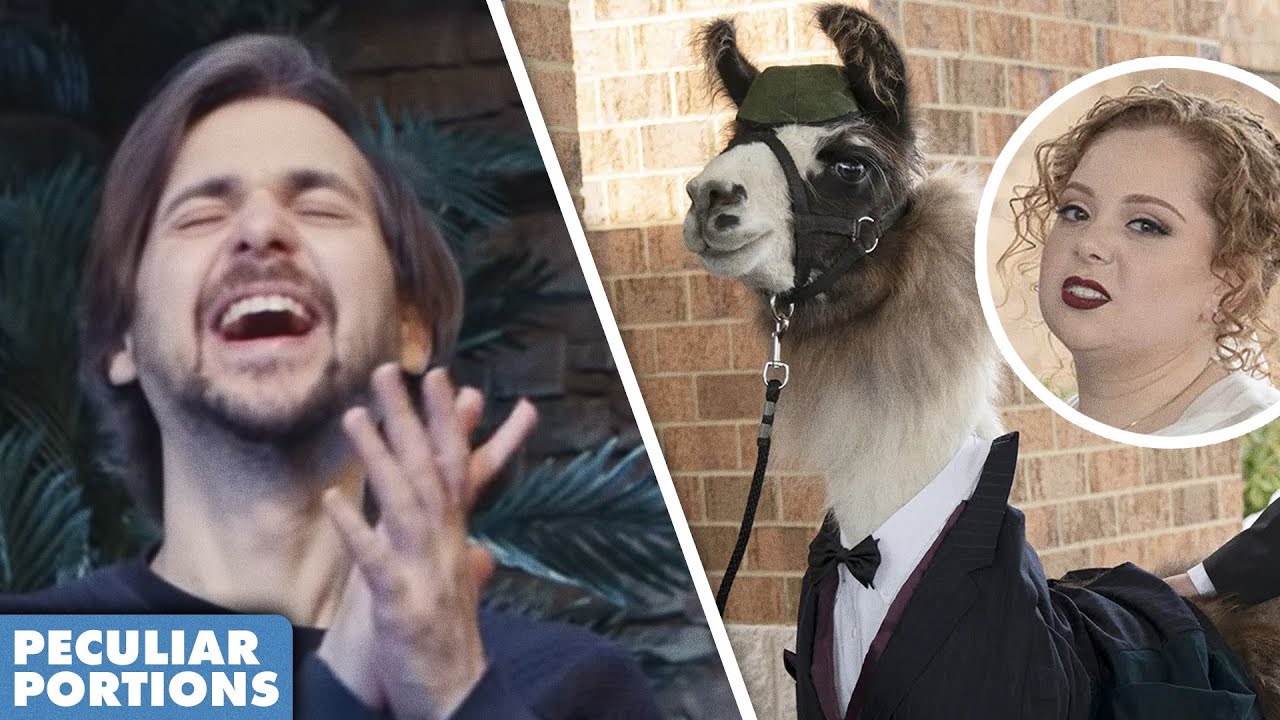Man Brings Llama To Sister's Wedding