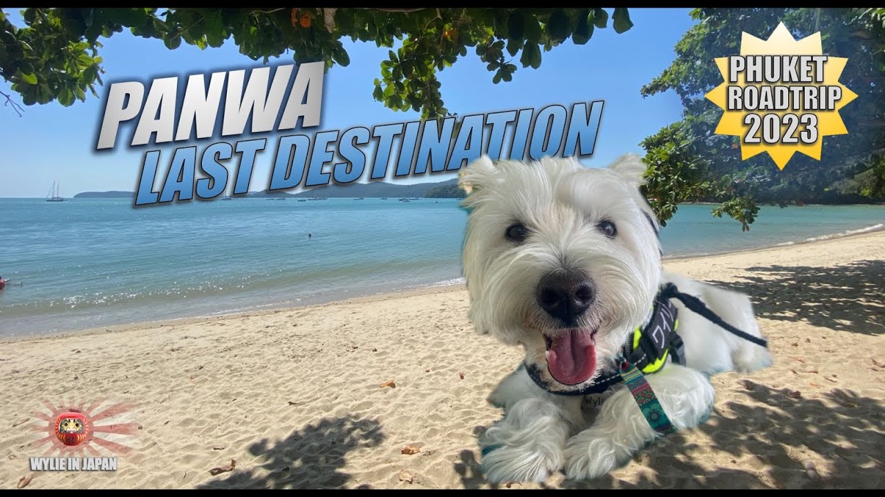 Phuket Roadtrip Final Leg | Panwa Beach | Pet Friendly Thailand