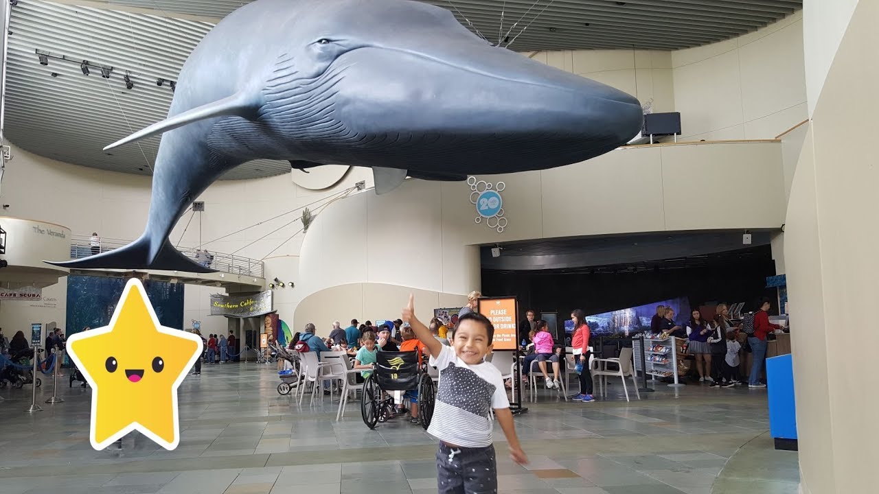 Aquarium Of The Pacific Long Beach