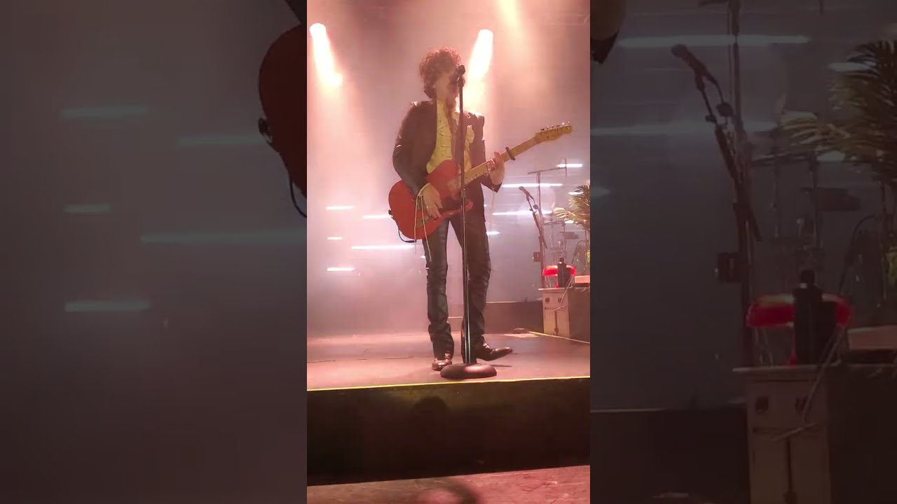 LP Toronto - Wild (11/04/23)