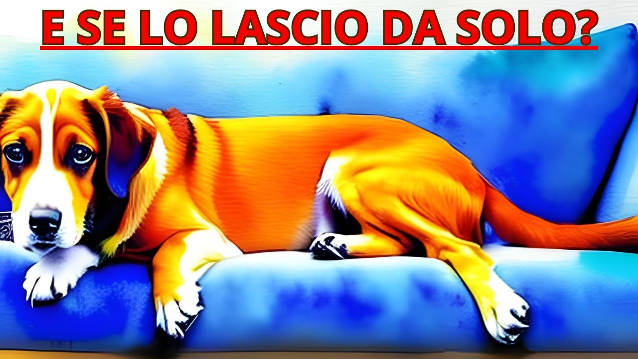I cani perfetti per chi &egrave; spesso fuori casa: ecco le 10 razze ideali